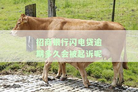 招商银行闪电贷逾期多久会被起诉呢及应对方法？