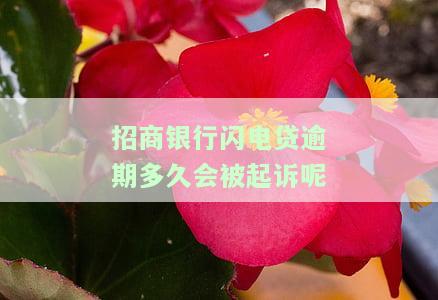 招商的闪电贷逾期几天上征信及全额还款要求