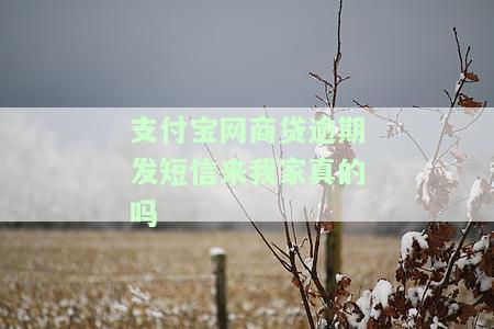 支付宝网商贷逾期说要上门怎么办