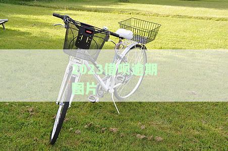 借呗逾期图片2020、2022、2023生成软件
