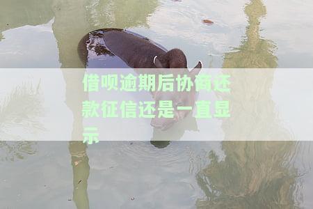 借呗逾期后协商还款征信一直显示逾期怎么办？