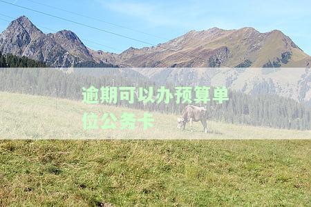 公务卡逾期影响单位吗？该如何处理？