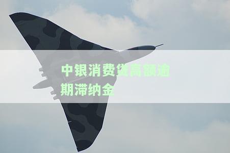 中银消费贷晚还了一天会上征信吗及相关处理方法