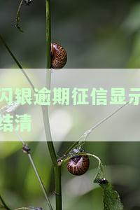 闪银逾期还了还能再借吗，逾期后多久还能用？