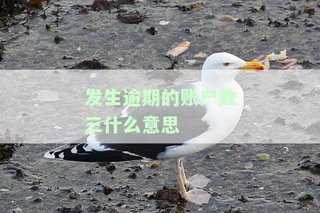 发生过逾期的账户数3是什么意思