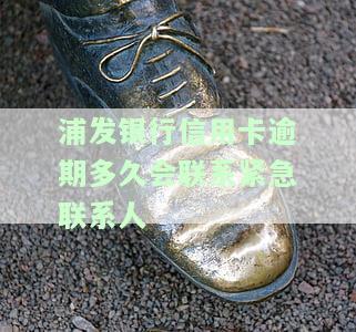 浦发银行信用卡逾期多久会联系紧急联系人