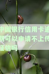 逾期记录上报中国银行后是否影响贷款及其他银行卡使用？