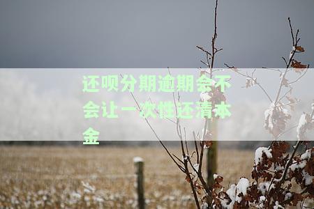 还呗分期逾期一次性还清本金的情况及是否可以继续借款