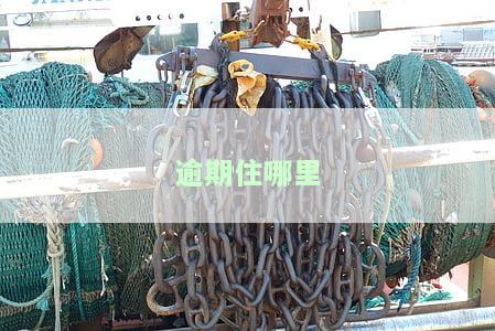 逾期在哪里能借到钱，查修支付宝逾期