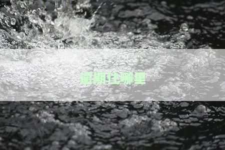逾期了从哪能弄到钱？
