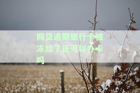 网贷逾期了银行卡被冻结了怎么还钱，结清需要多久解除？