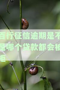 百行征信会不会起诉银行？