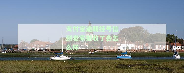支付宝逾期挂号信是怎么回事，内容及后果？