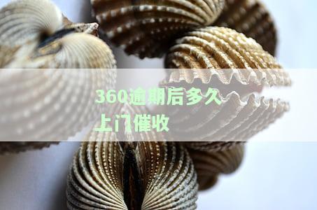 360逾期后多久上门催收电话及求解