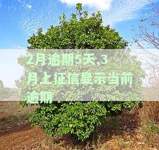 2月逾期5天,3月上征信显示当前逾期怎么办