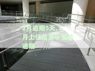 征信显示逾期两个月问题大吗及应对方法