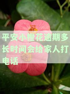 平安小橙花逾期10多天了，逾期60天会上征信吗？逾期一天就催收。