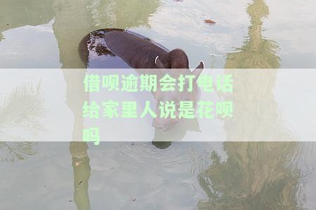 借呗逾期会不会打电话给亲朋好友、工作地方和家里？