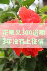 花呗逾期3年没还就是不起诉我怎么解决，影响及恢复使用