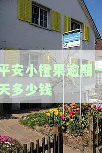 平安小橙花逾期一天上征信，会怎样？