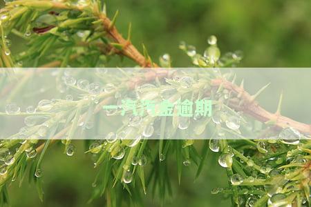 一汽汽金逾期