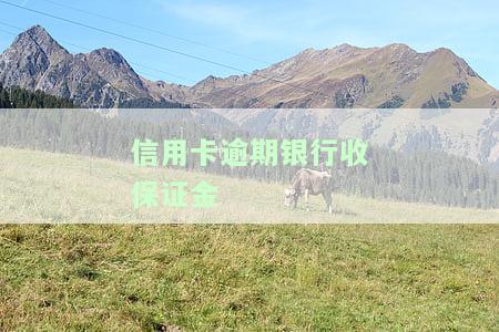 逾期返还保证金及相关违约责任