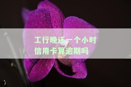 工行晚了一天还信用卡有影响吗？