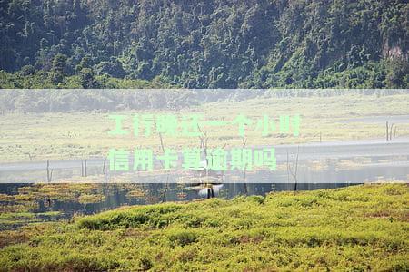 工商银行晚还款一小时会怎么样?
