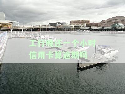 工行推一天还信用卡有利息吗，怎么算，会影响征信吗？
