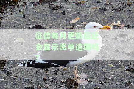 征信每个月更新时间