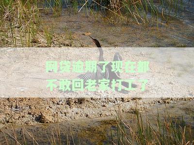 欠了网贷不想回家如何面对母？