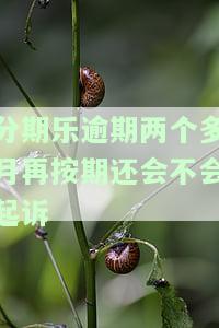 分期乐逾期两个月还清了还可以用吗，征信会受影响吗？
