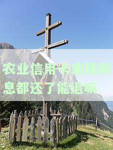 农业信用卡逾期利息都还了能退吗？如何退款？