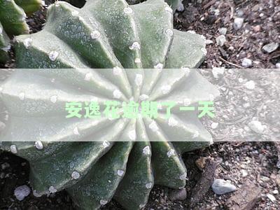 安逸花逾期一天会产生逾期费用吗？