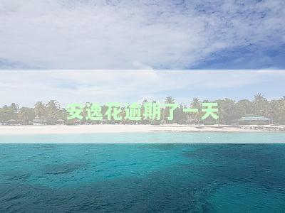 安逸花逾期了一天