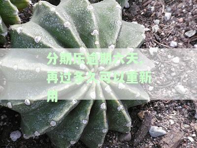 分期乐逾期六天过多久才可以再借钱及影响