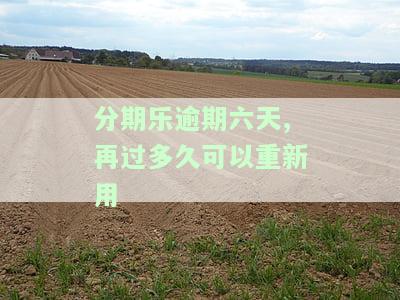 分期乐逾期五六天后面还上对以后的贷款有影响吗，还能再借出来吗？