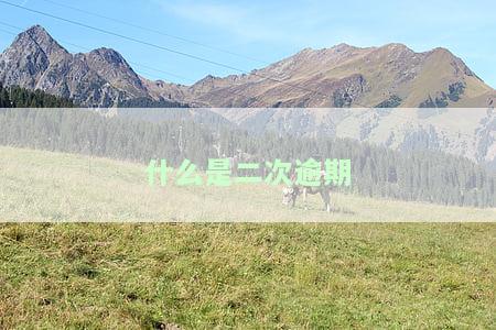二次逾期怎么办，信用卡协商后二次逾期如何处理