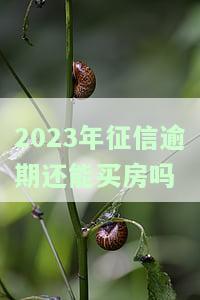 征信逾期32次能不能买房子贷款及住，几次可以贷款买房吗？