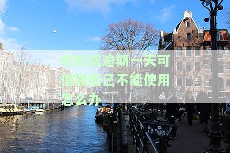 微粒贷逾期一天可借额度已不能使用怎么办