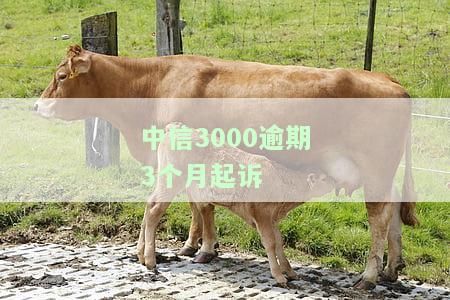中信银行逾期三个月真的会起诉坐牢吗？怎么办？