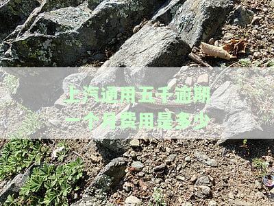 上汽通用逾期怎么样，逾期两个月会怎么样，逾期七天车贷会上征信吗，逾期了要起诉怎么办