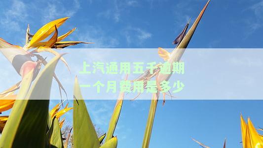 上汽通用车贷逾期几天会上征信吗，怎么办？