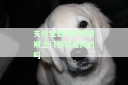 借呗欠了8万逾期4年了，法院起诉会怎么样？