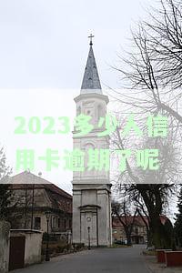 2023年信用卡逾期人数查询及2021年逾期统计