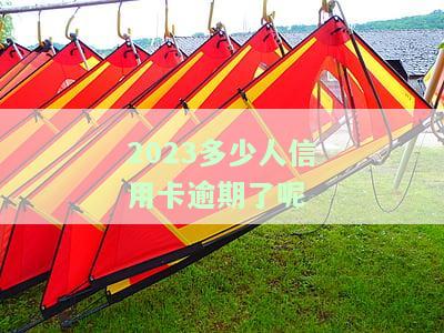 2023多少人信用卡逾期了呢，今年有多少信用卡逾期的朋友？