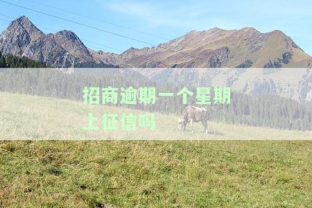 招商银行逾期一个星期对征信有影响吗及应对方法？