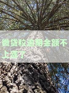 微粒贷逾期一天后还了钱还能借吗？