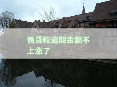微贷粒不还款会怎么样，贷款还能借吗？