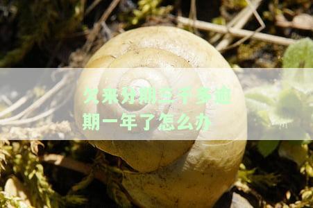 欠来分期35000一般逾期多久会立案，欠三万会起诉吗？